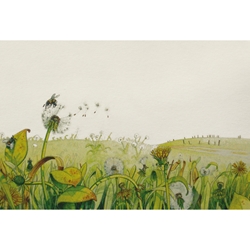 Greeting Cards - Dandelions Field 